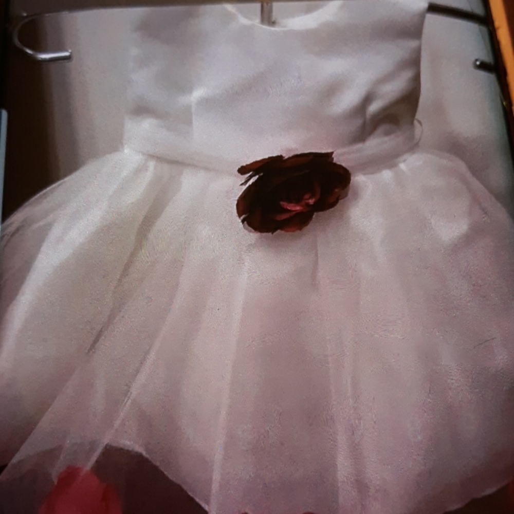 TIP TOP KIDS BABY GIRLS FORMAL DRESS  PETALS